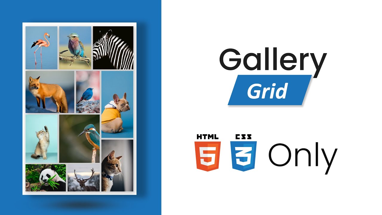 Responsive Image Gallery using CSS Grid in 2021 | CSS Grid Responsive Image Gallery